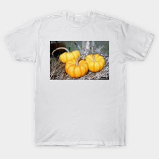 Three Mini Pumpkins T-Shirt